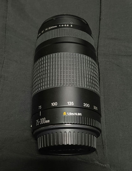 Canon Zoom Lenses Ef75-300Mm F4-5.6 Ii Usm