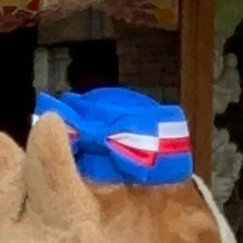 Long-Sleeve