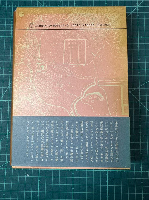 Literature Novel