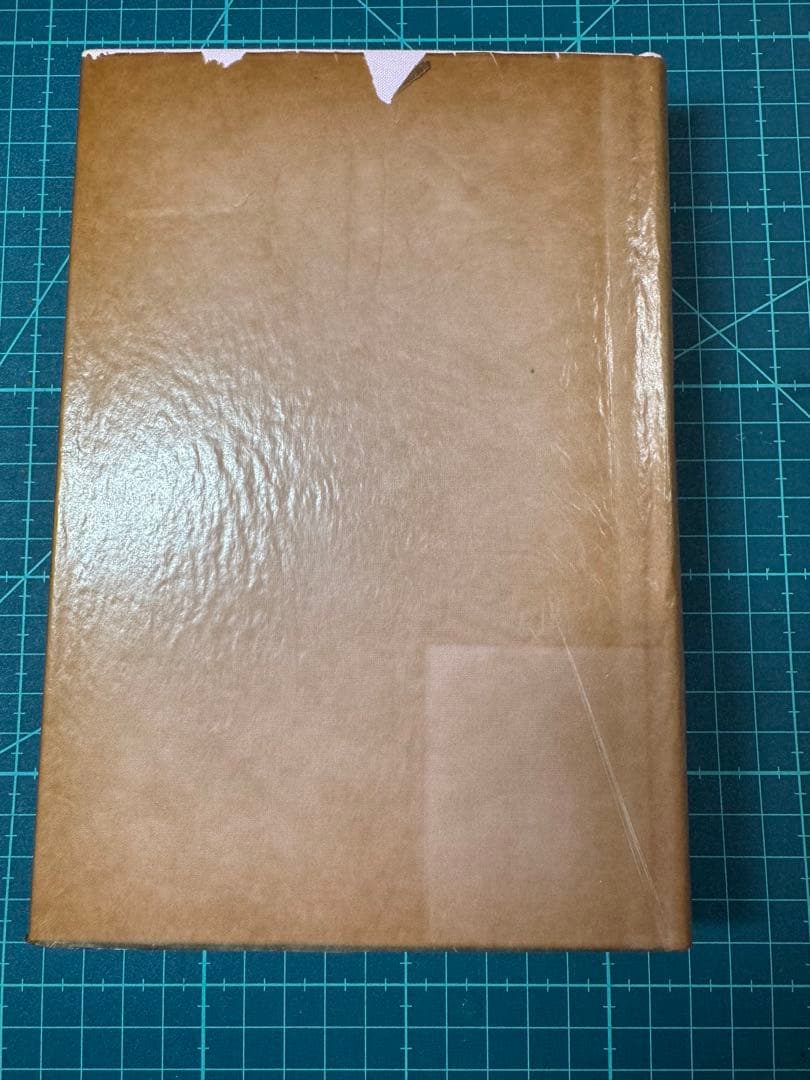 Literature Novel