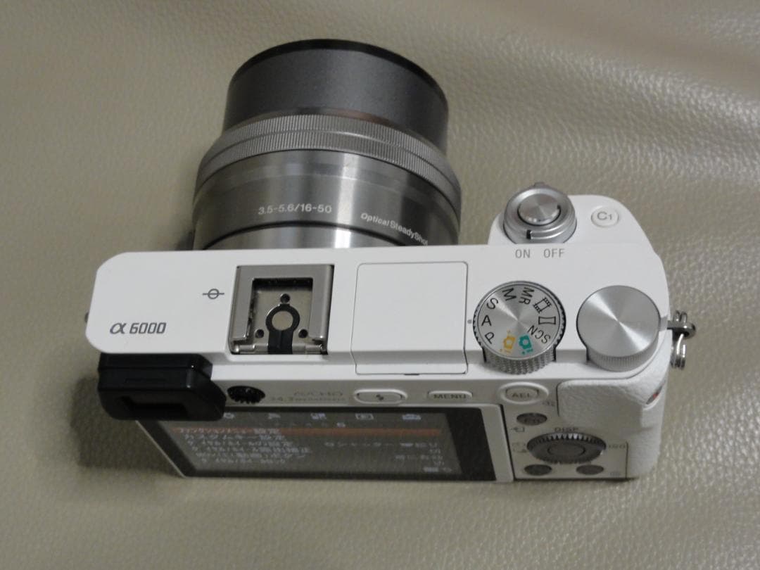 Mirrorless Interchangeable Lens Cameras Sony( 6000 Ilce-6000Y