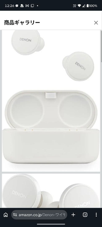 Denon Wireless Earphone Perl Pro