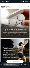 Denon Wireless Earphone Perl Pro