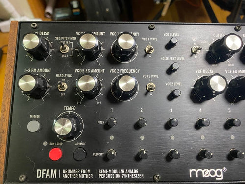 Moog Analog Synthesizer Dfam