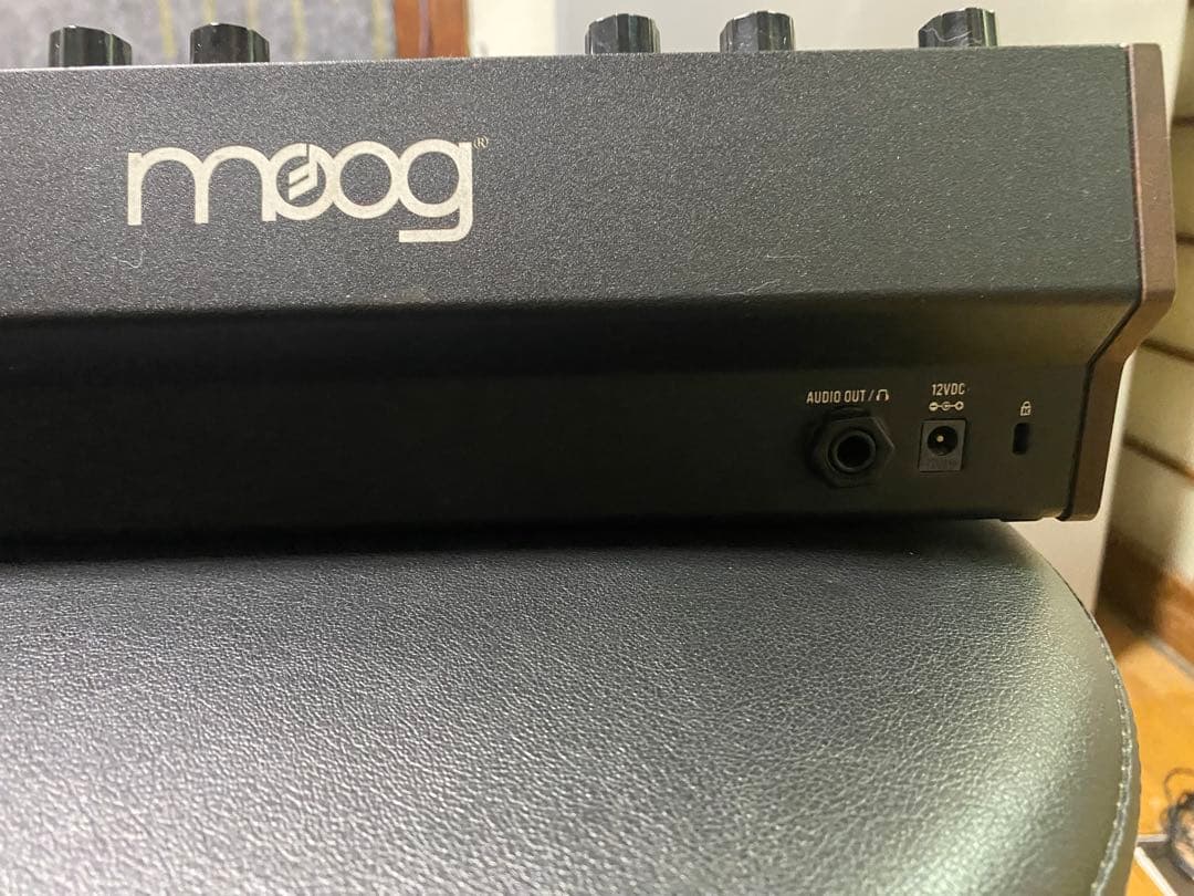 Moog Analog Synthesizer Dfam