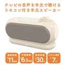 Sound Speaker Rear Bar Tspk001Gy