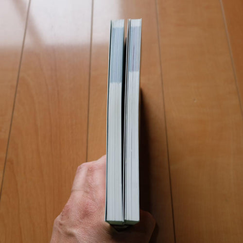 Games Strategy Guides Ntt 2 Secret Of Mana