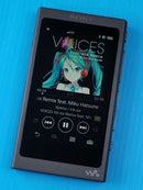 Sony Digital Audio Players Walkman Nw-A45 B