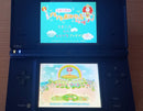 Nintendo Ds Body I) Dsi Sd 2Gb 11