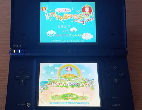 Nintendo Ds Body I) Dsi Sd 2Gb 11