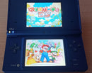 Nintendo Ds Body I) Dsi Sd 2Gb 11