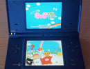 Nintendo Ds Body I) Dsi Sd 2Gb 11