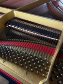 Yamaha Grand Pianos G3