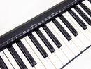 Roland Midi Keyboard Pad A-49-Bk 49 Usb Dtm