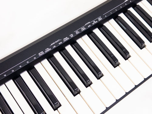 Roland Midi Keyboard Pad A-49-Bk 49 Usb Dtm