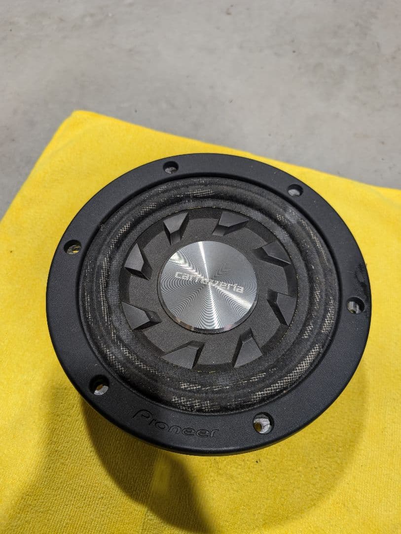 Woofers Pioneer Ts-W2010