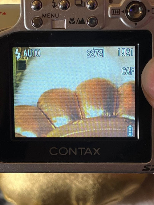 Contax Compact Digital Camera U4R
