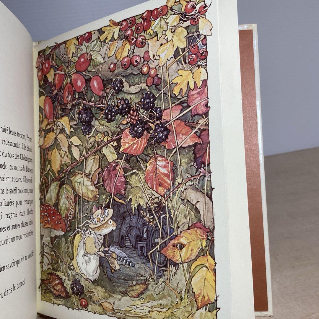 Foreign Book Autumn Story/