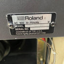 Roland Guitar Amplifiers Bc-60 Bluescube Amp