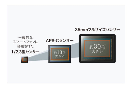 Sony Mirrorless Interchangeable Lips 7C 2