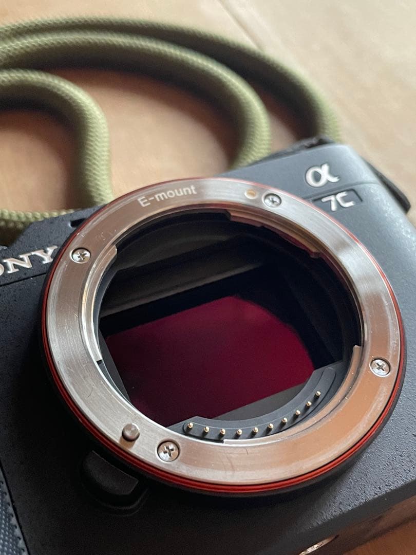 Sony Mirrorless Interchangeable Lips 7C 2