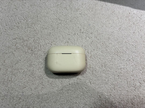 Sony Wireless Earphone Usb-C