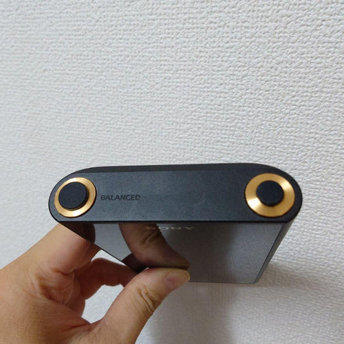 Sony Digital Audio Players Nw-Wm1Am2 Sd