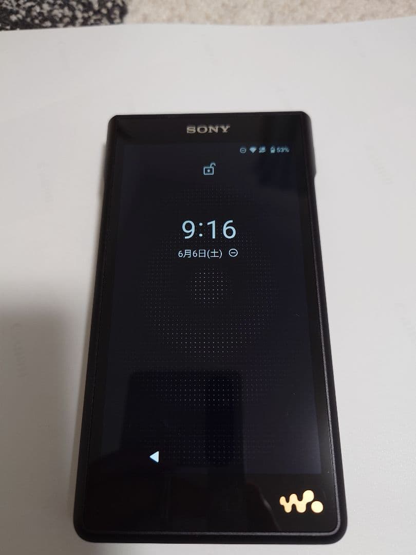 Sony Digital Audio Players Nw-Wm1Am2 Sd