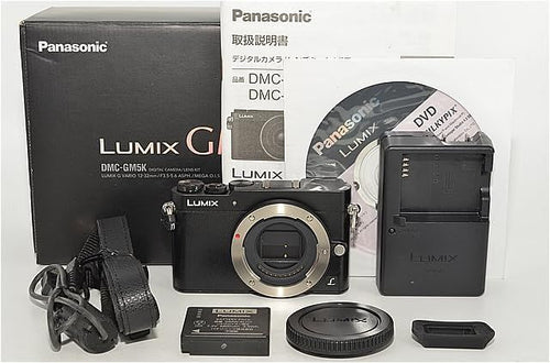 Panasonic Mirrorless Interchangeable Lips 723 3361 Gm5 Dmc-Gm5-K
