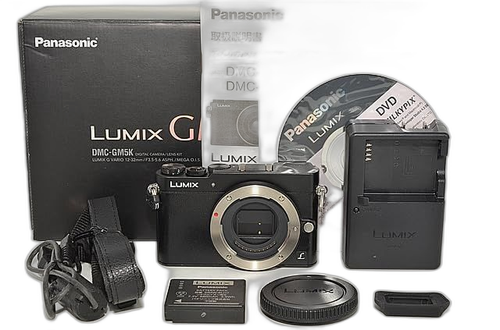 Panasonic Mirrorless Interchangeable Lips 723 3361 Gm5 Dmc-Gm5-K