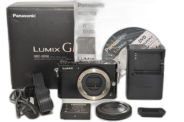 Panasonic Mirrorless Interchangeable Lips 723 3361 Gm5 Dmc-Gm5-K