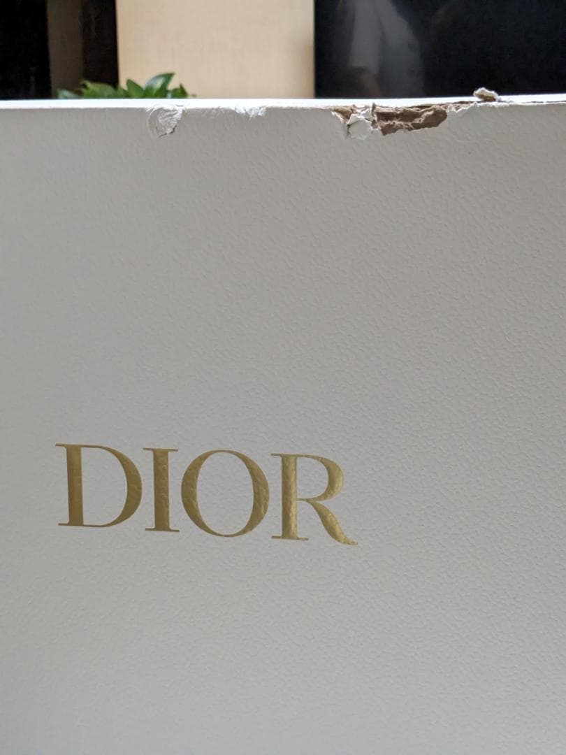 Christian Dior Handbags