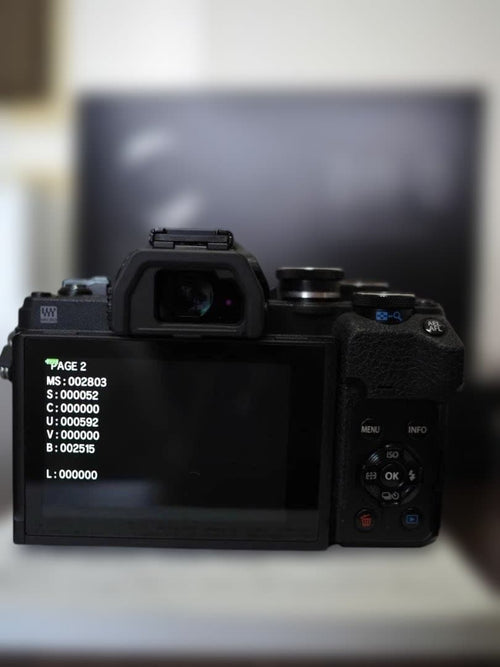 Olympus Mirrorless Interchangeable Lens Cameras E-M10 Mark Iv 2800