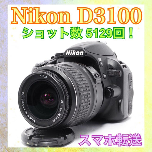 Nikon Digital Slr D3100