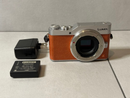 Panasonic Mirrorless Interchangeable Lips Lumix Dc-Gf9