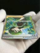 Pok Mon Tcg Trading Card Game Sr S5R 081/070