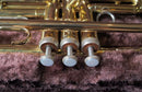 Yamaha Trumpets Ytr-2320E