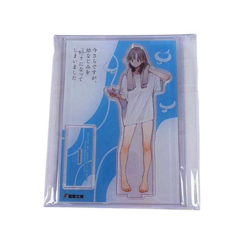 Acrylic Stand 1