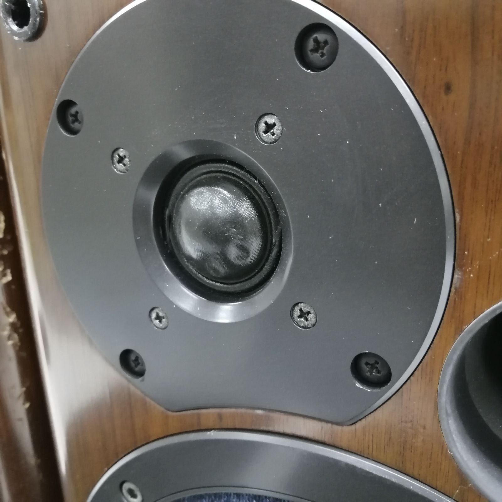 Speaker Onkyo D-202A U Ltd M2667-Hkt5Y