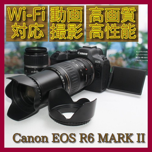Canon Digital Slr Eos R6 Ii