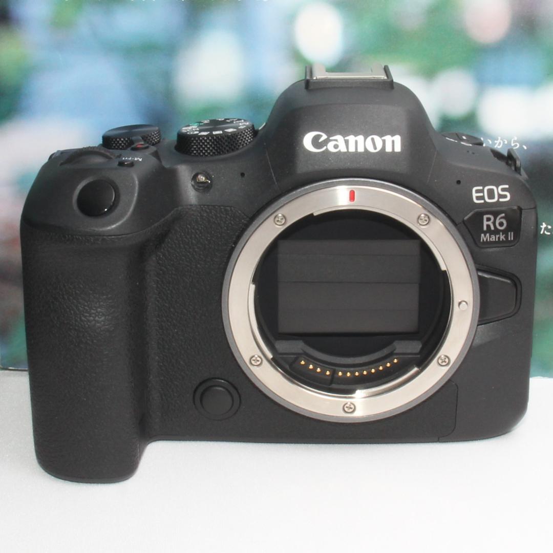Canon Digital Slr Eos R6 Ii