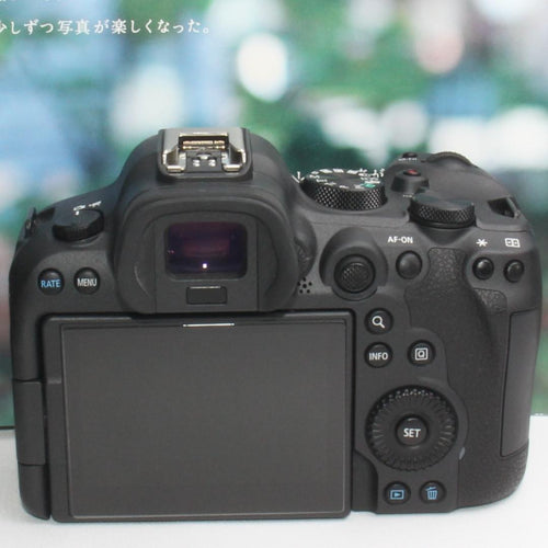 Canon Digital Slr Eos R6 Ii