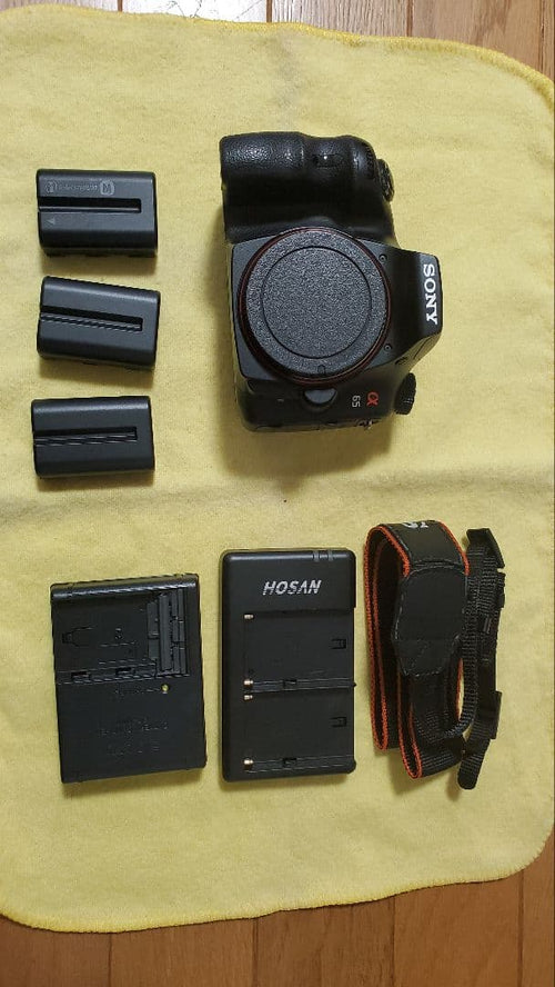 Sony Digital Slrs 65