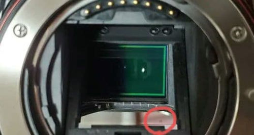 Sony Digital Slrs 65