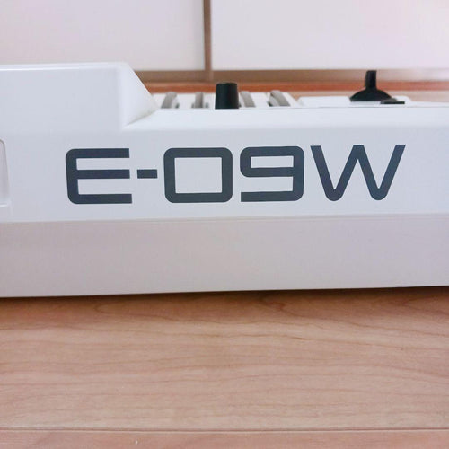 Roland Others E-09W 61