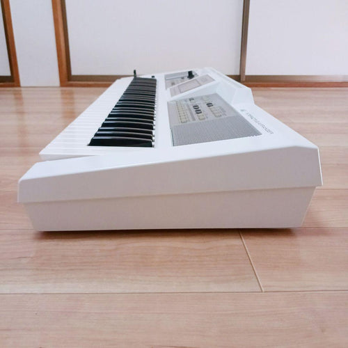 Roland Others E-09W 61