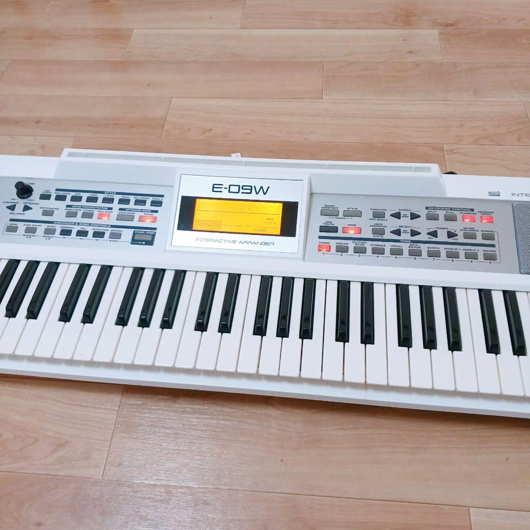 Roland Others E-09W 61