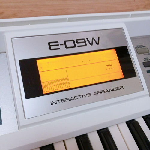 Roland Others E-09W 61