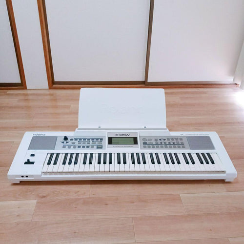 Roland Others E-09W 61