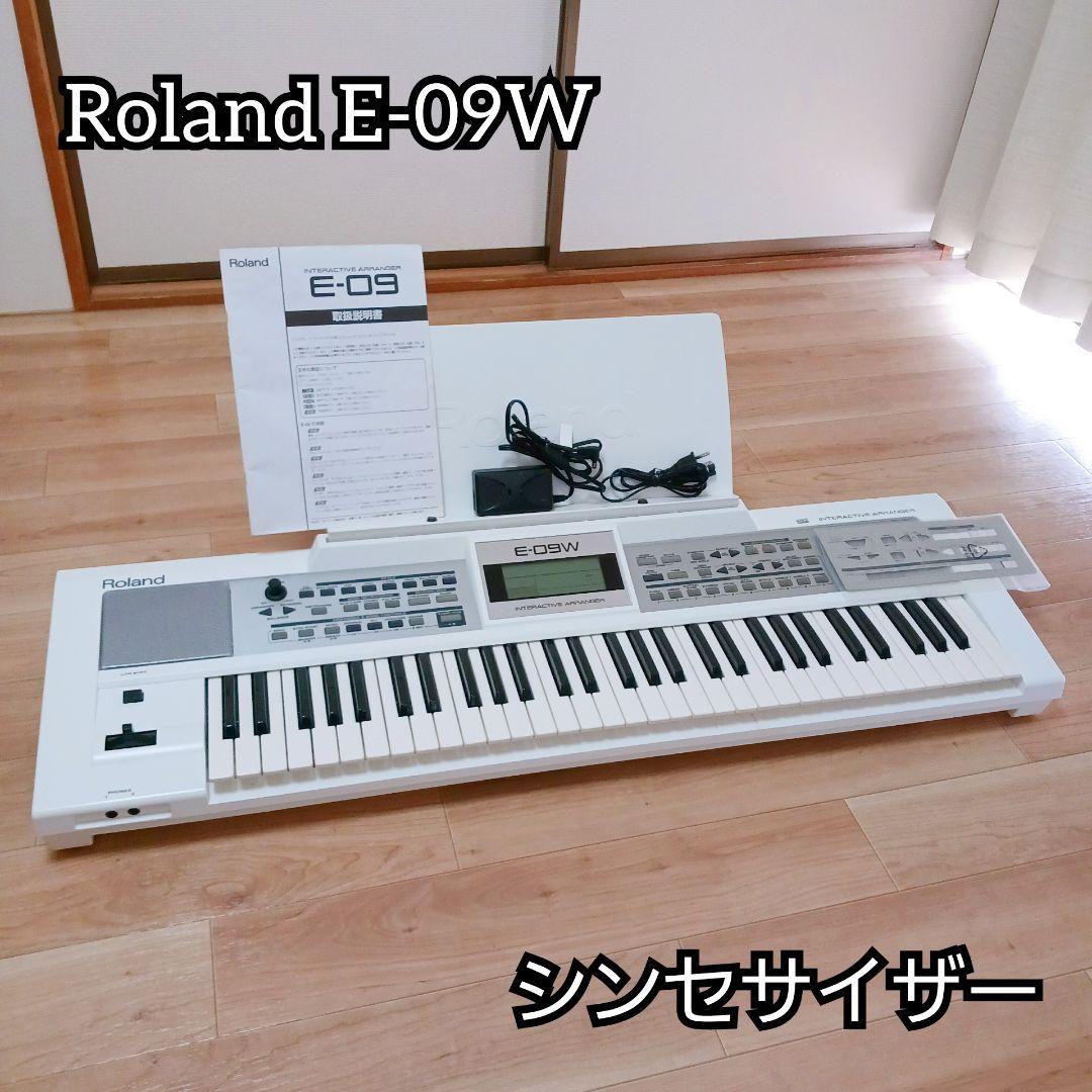 Roland Others E-09W 61
